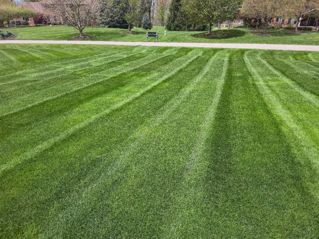 Freshly mowed lawn with visible mowing stripes